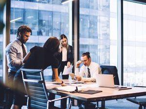 Program Management Consulting Services